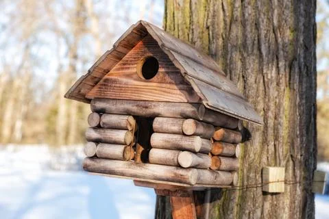 Bird feeder Foto stock