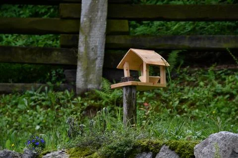Bird Feeder. Stock Photos