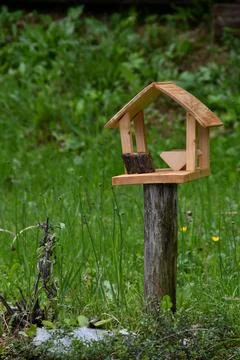 Bird Feeder . Stock Photos