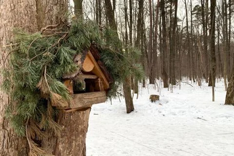 The bird feeder on the pine tree. In winter. Stock Photos