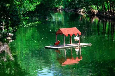 Bird feeder on the river Stock Photos