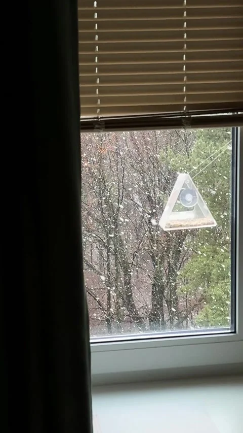 A bird feeder with seeds on the window in winter, snowfall 스톡 동영상 342618159