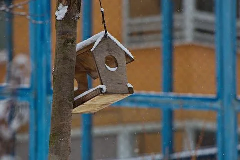 Bird feeder in the snow. Stock Photos