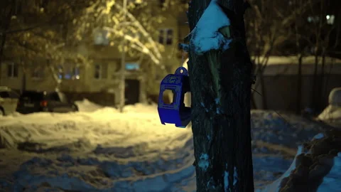A bird feeder sways in the wind on a winter evening in Russia. Happy new year Video stock 146411415
