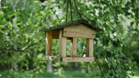 A bird feeder table hanging down in a garden tree Video stock 117347269