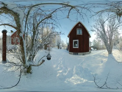 Bird Feeder Timelapse Wintertime - 360 VR Stock Footage 83830283