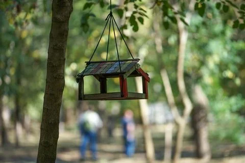 Bird feeder on a tree with a bird placed in the city Park Stock-Fotos