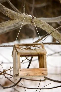 Bird feeder on tree branch. Stock Photos
