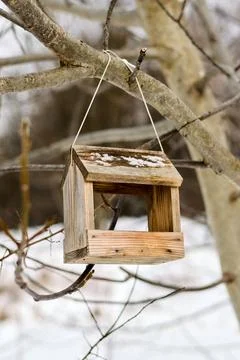 Bird feeder on a tree branch Stock Photos