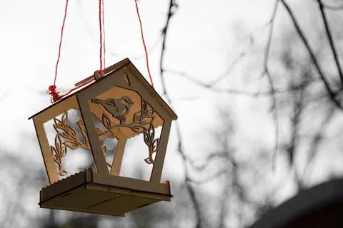 Bird feeder on the tree , copy space Stock Photos
