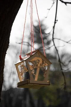 Bird feeder on the tree Stock Photos