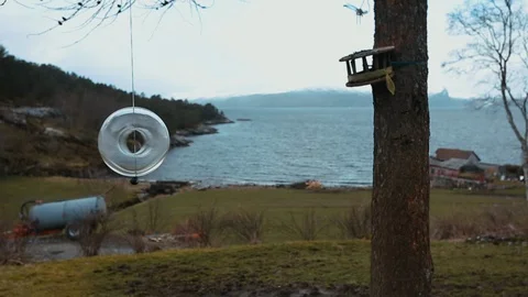 Bird feeder in the wind with sea view Video stock 94310272