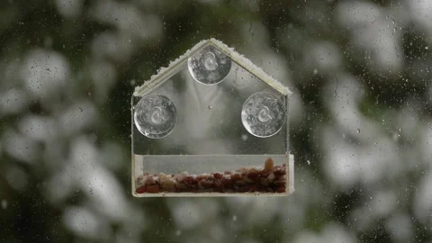 Bird feeder on window in natural environment. Stock Footage 333997820