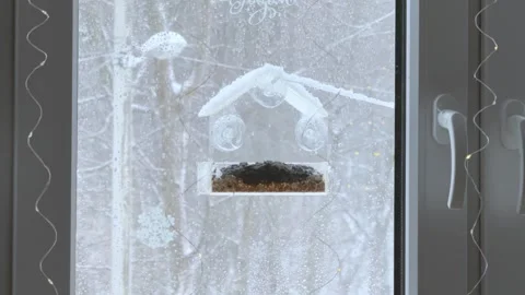 Bird Feeder On Window With Snowfall Concept of Cozy Winter Home Vídeos de archivo 341986111