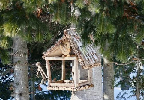 Bird feeder in the winter forest Stock Photos