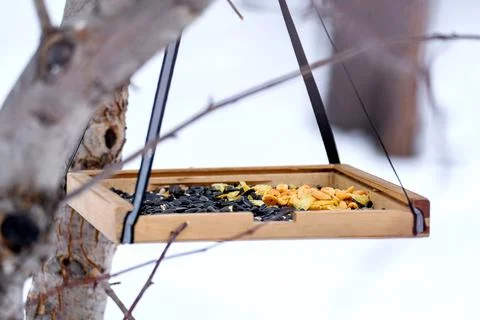 Bird feeder in winter. Open feed area Stock Photos