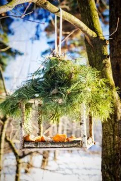 Bird feeder in winter Stock Photos