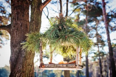 Bird feeder in winter Stock Photos