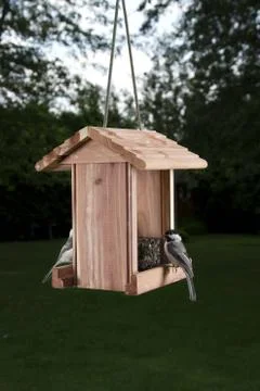 Bird feeder wirror Stock-Fotos