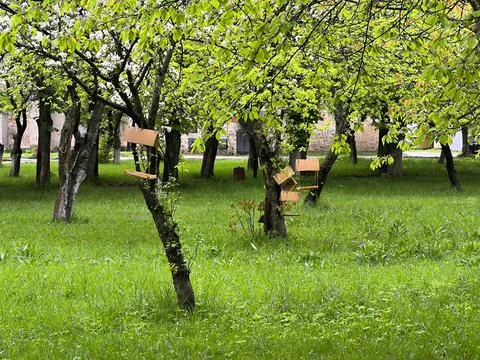 Bird feeders Stock Photos