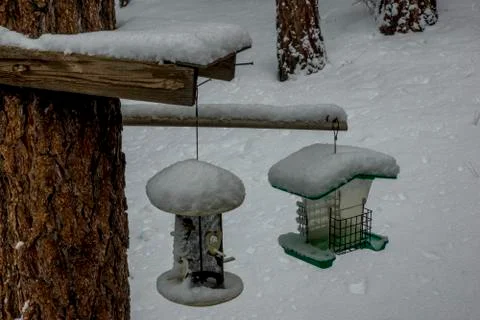 Bird Feeders in Snow Stock Photos
