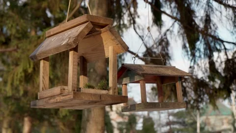 Bird feeders winter on the tree Video stock 232944077