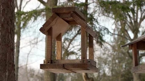 Bird feeders winter on the tree Stock Footage 232944084