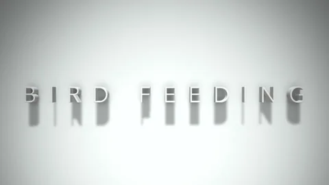 Bird feeding 3D title animation with shadows on a white background Video stock 297903795