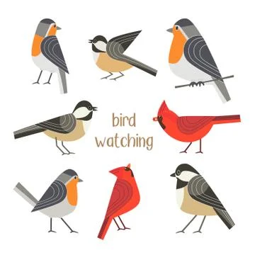 Bird feeding poster Stock Illustration