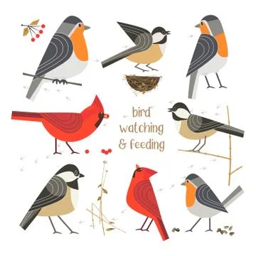 Bird feeding poster Stock-Illustration