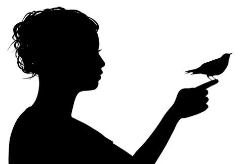 Bird on Finger Stock Illustration
