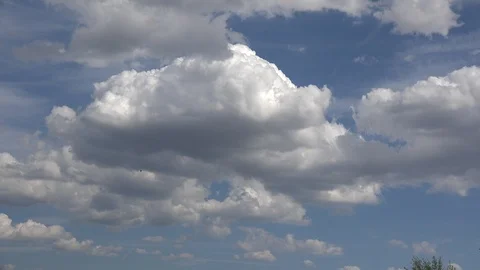 Bird flies across cloud Video stock 88760835