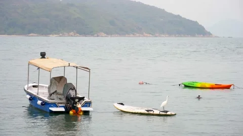A bird flies against the background of a small boat floating on the water 動画素材 182505207