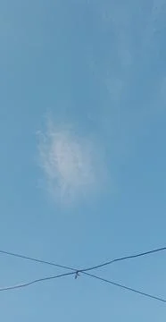 A bird flies between the wires in the middle of the day Stock Photos