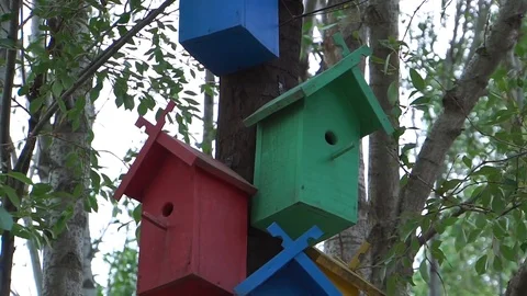 The bird flies into the birdhouse. Stock Footage 76596315