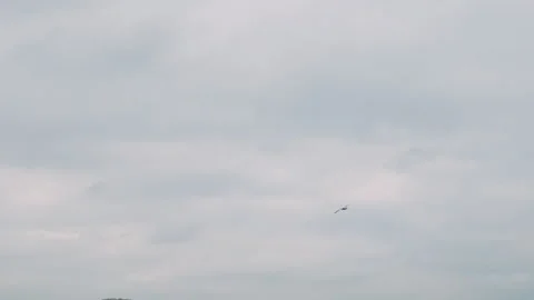 Bird flies in the cloudy sky Stock Footage 272310214