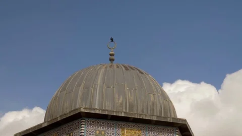 Bird Flies off Dome of the Chain Stock Footage 82677235