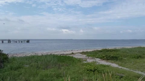 Bird flies by empty beach and pier during red tide in Florida 動画素材 158842811