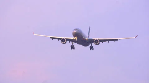 The bird flies in front of the plane. the plane is preparing for landing. Stock-Footage 89163244