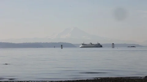 Bird Flies In Front of Seattle-Bainbridge Ferry Stock Footage 86757906