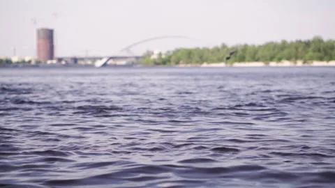 Bird flies low over the river. Fast flowing river, green trees on the bank Stock Footage 197063703
