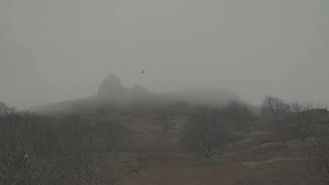 Bird flies over misty winter mountainside in slow motion Video stock 150289010