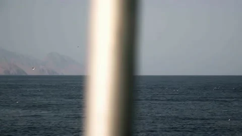 A bird flies over the ocean, a seagull flies over the sea, slow motion Stock Footage 235937170