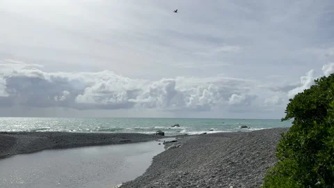 A bird flies over the shore and the surf of the ocean. Videos with marine scenes Stock Footage 233211368