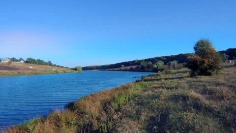 Bird flies over water Stock Footage 138505633