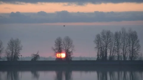 Bird flies over water through frame during sunrise Stock Footage 74751179
