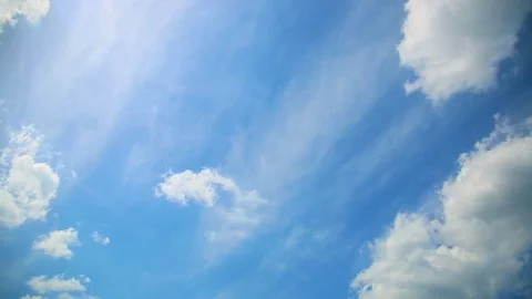 Bird flies in the sky Stock Footage 71022988