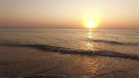 The bird flies to the sun Stockbeeldmateriaal 129111021