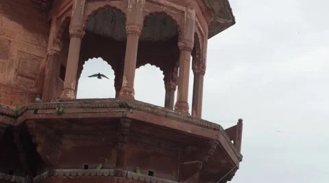 Bird Flies through Temple Ruins Stock Footage 47240570