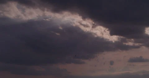 Bird Flies Underneath Sun Rays - 6K Stock Footage 245378957